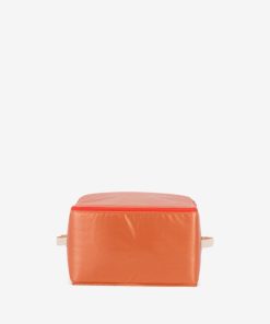 Newrout.shop4f9445fb41 1