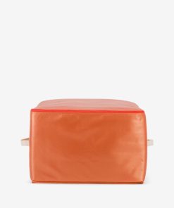 Newrout.shop64cc55efae 1