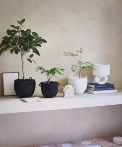 Newrout.shopb94b3081ec 2