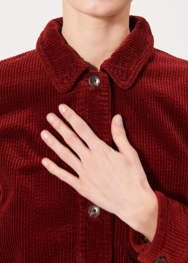 Newrout.shopb98c0ec90f 5